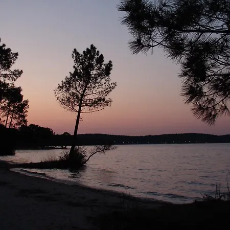 Vue Jardin Entre Et Foret